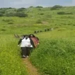 נופי רמת הגולן